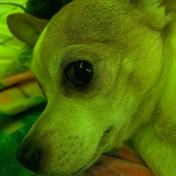 Meet your Posher, Jerrica - Picture 1 of 1